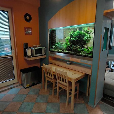 Suk Apartman 24 スフドル・ナト・ルジュニツィー エクステリア 写真