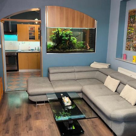 Suk Apartman 24 スフドル・ナト・ルジュニツィー エクステリア 写真